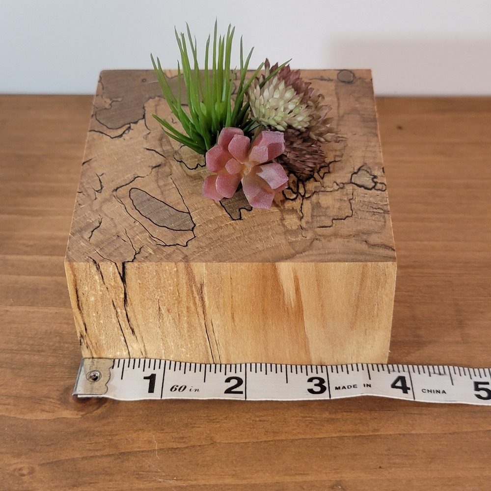 Handmade Spalted Wood Block Planter display for Succulents Rustic Decor